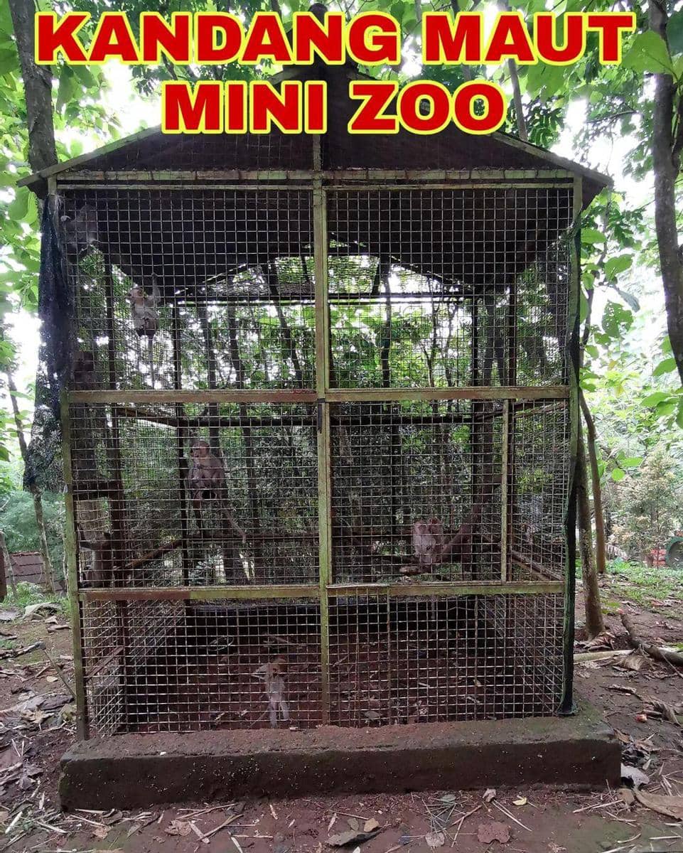 instagram.com/doniherdaru