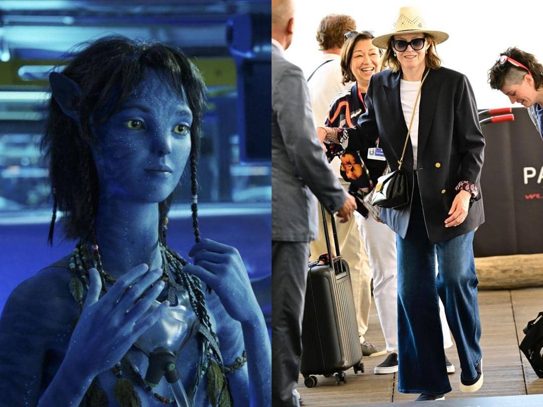 imdb.com/celebmafia.com