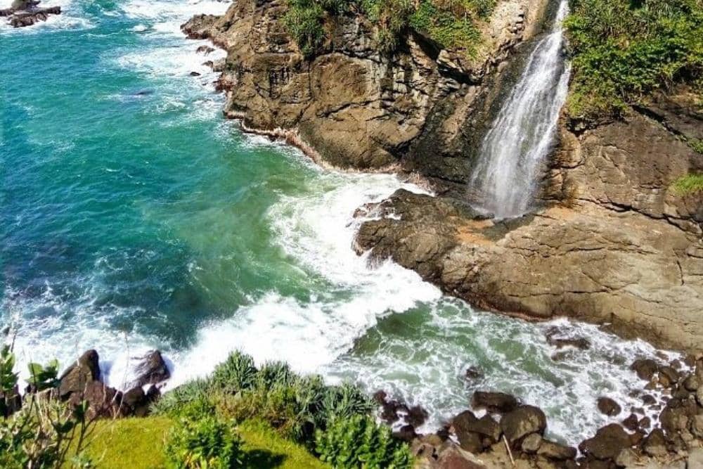 instagram.com/lianasofiani