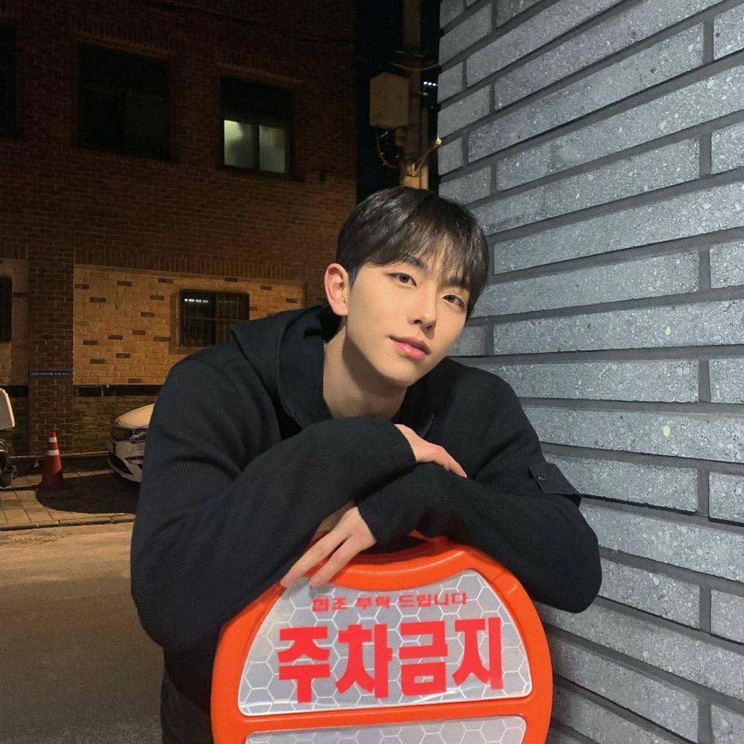 instagram.com/domestic_seal