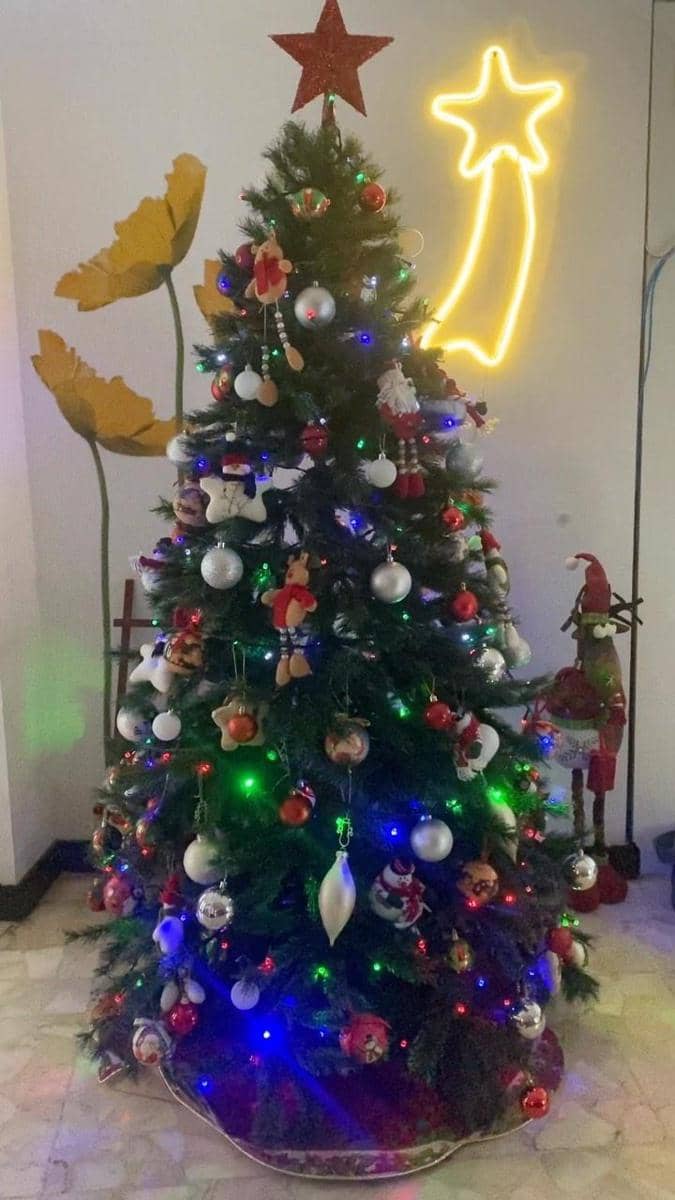 instagram.com/indybarends