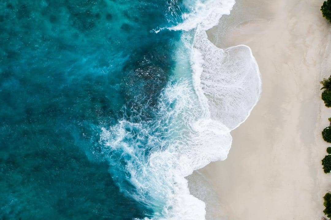 Unsplash.com/Shifaaz Shamoon