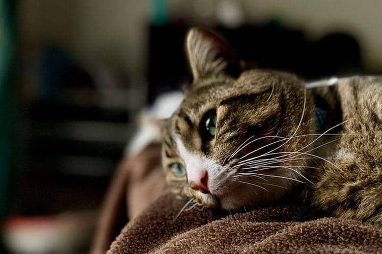 Unsplash.com/Tim King