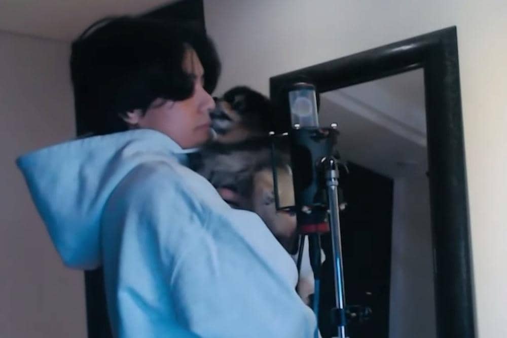 YouTube.com / BANGTANTV