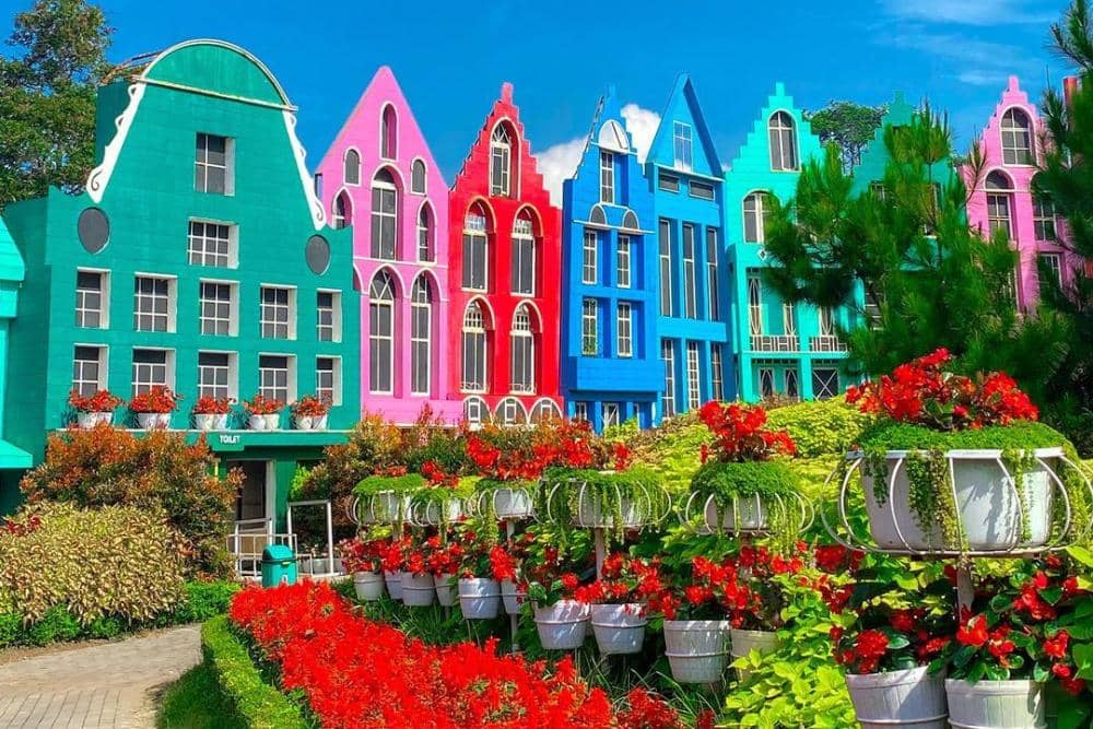 instagram.com/taman_bunga.celosia