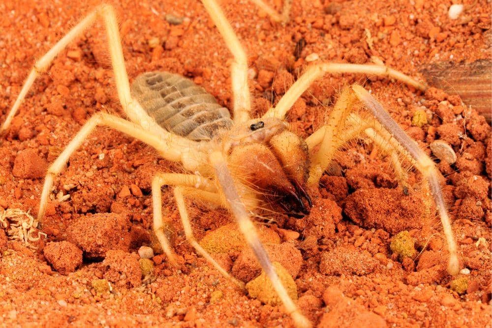 nationalgeographic.com