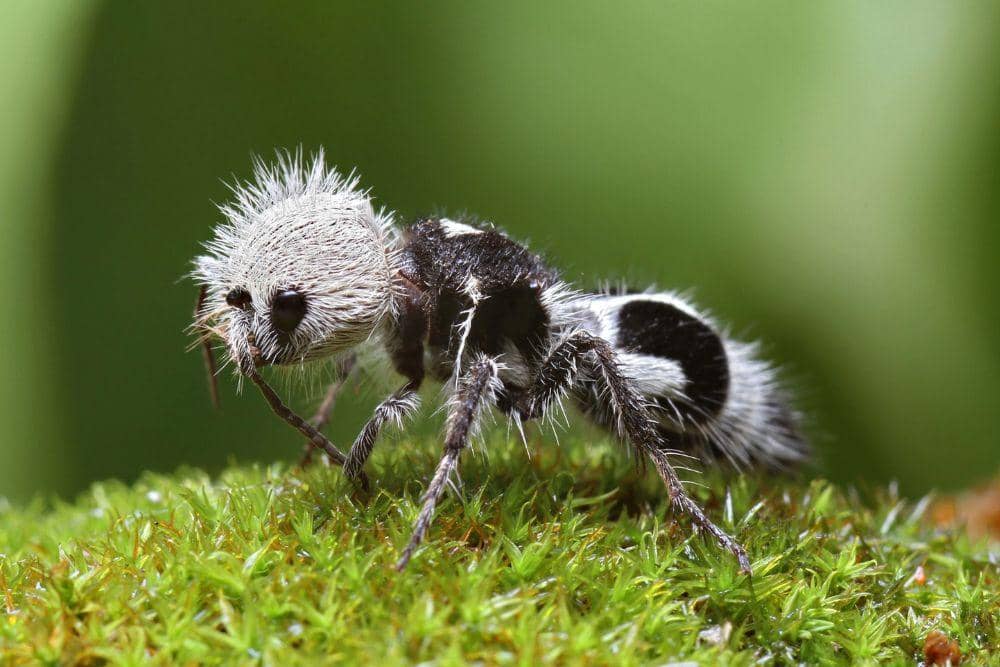 nationalgeographic.com