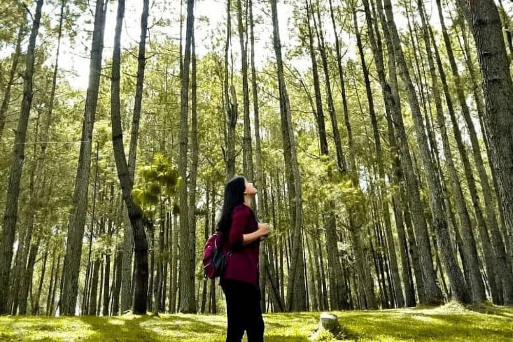 instagram.com/sipinsur_geosite