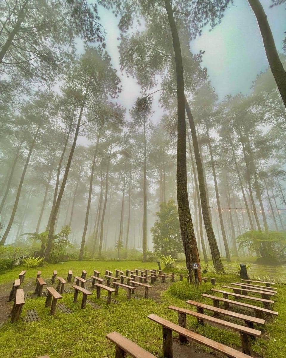 instagram.com/orchidforestcikole