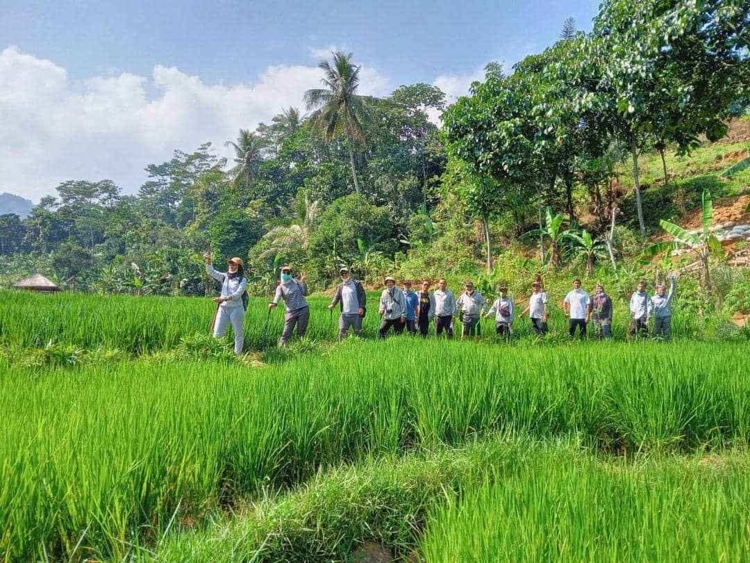 instagram.com/tamanbudaya_id