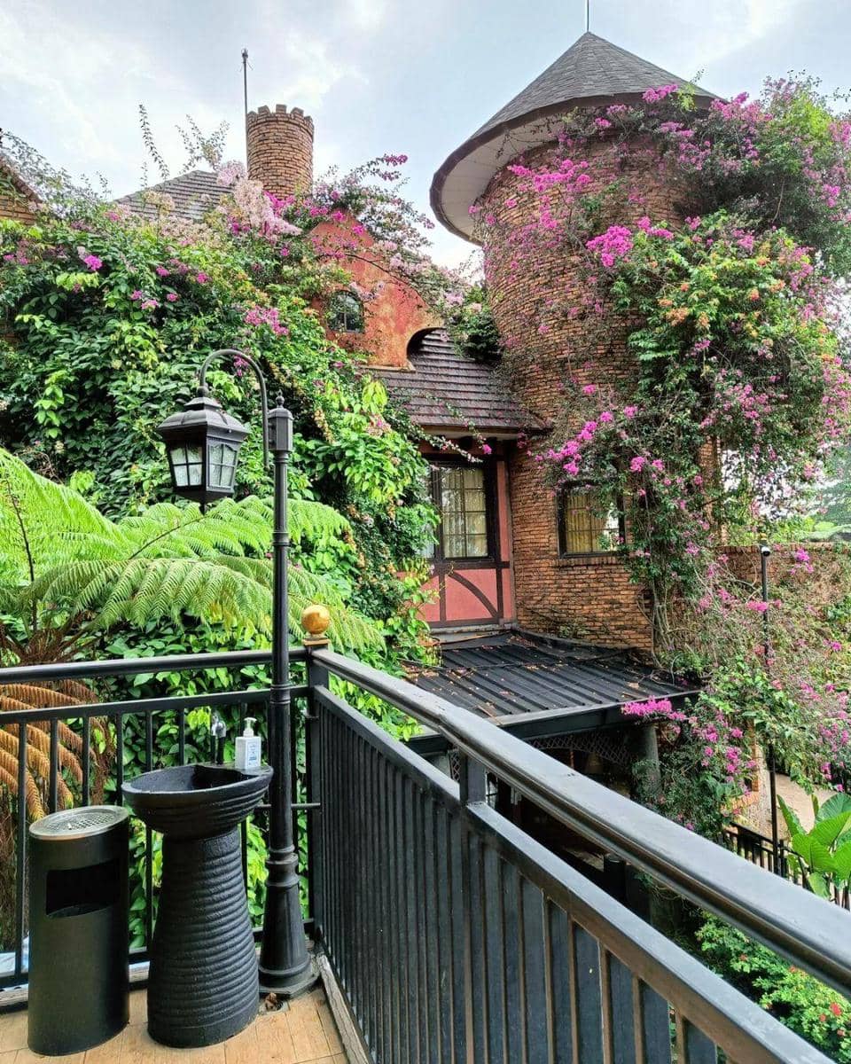 instagram.com/edensorhills