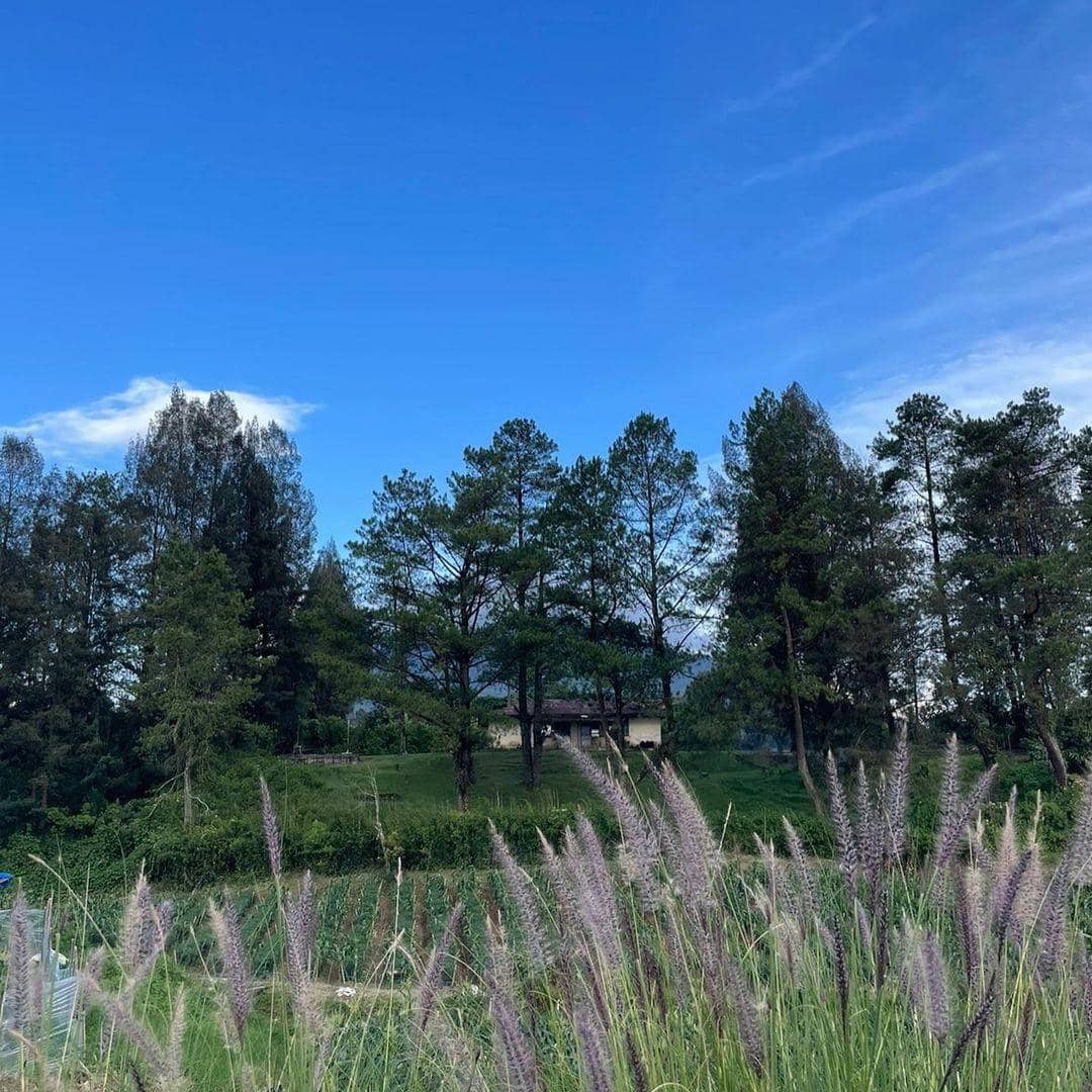 instagram.com/mkhc2.0