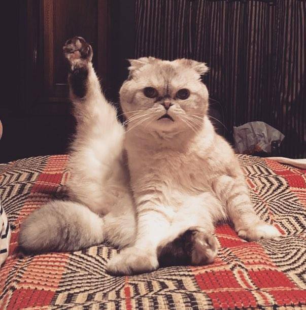 Instagram/@taylorswift