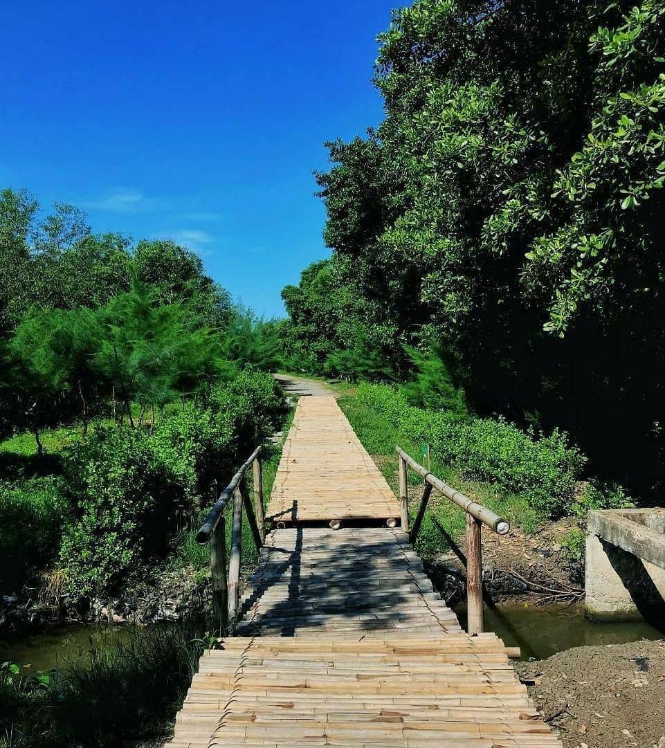 instagram.com/mangroveanyar