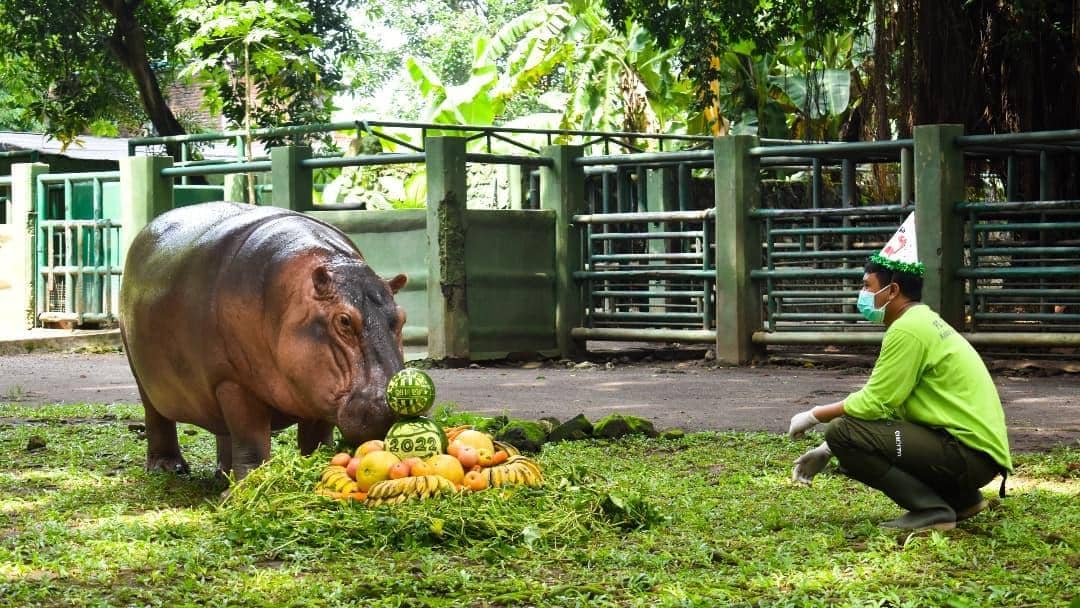 instagram.com/kebunbinatangsurabaya