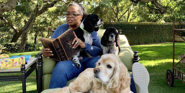 Oprah Daily