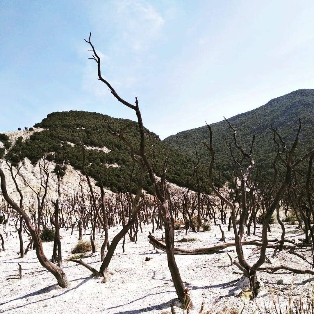 instagram.com/fajaragus17