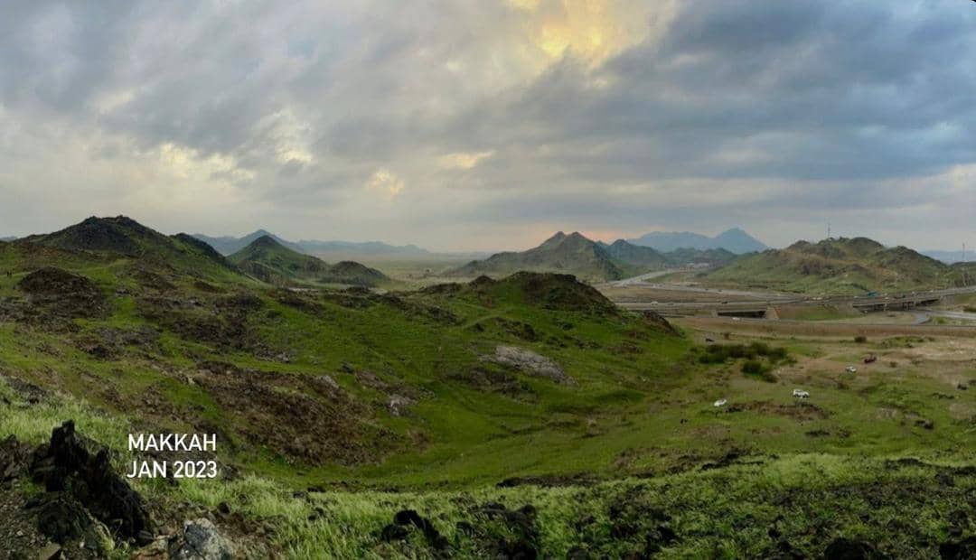 twitter.com/theholymosques