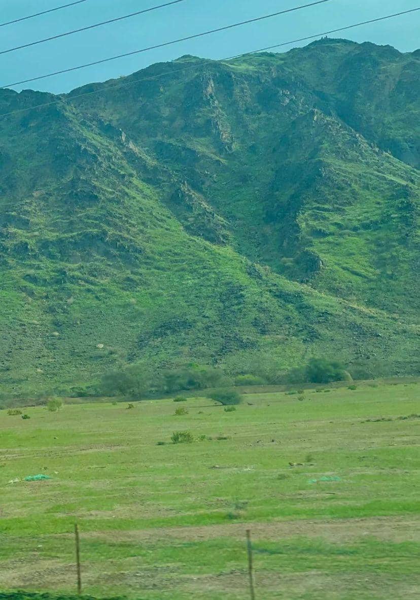 twitter.com/theholymosques