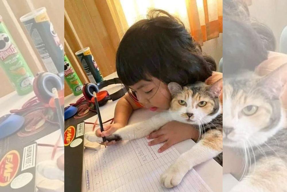 Terlalu Gemas! 13 Foto Koneksi Hewan-Manusia ini Sukses Bikin Baper