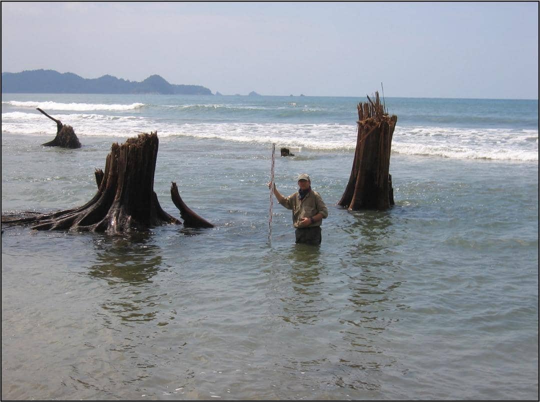 twitter.com/YonKerbauRawa