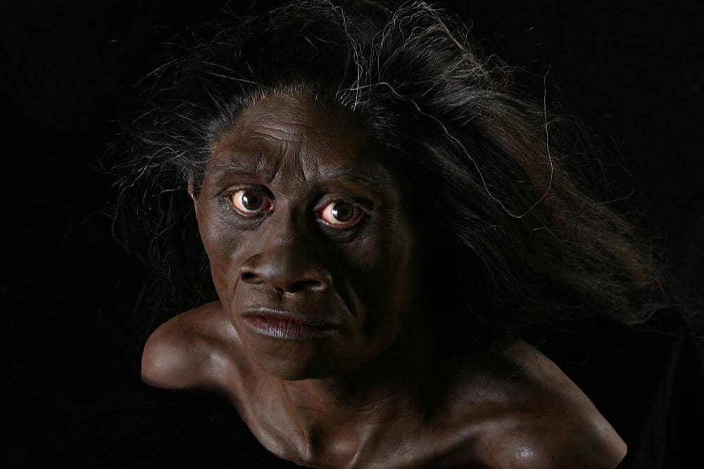 Dok. Natural History Museum