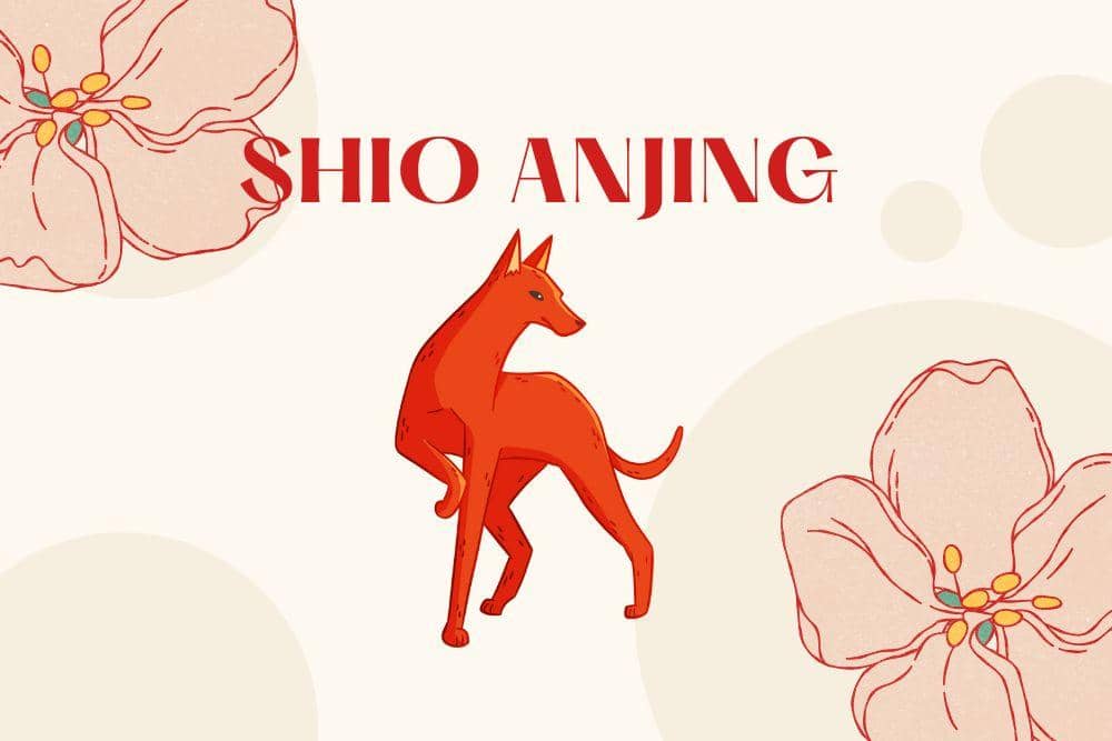 Canva.com/Andhina Effendi