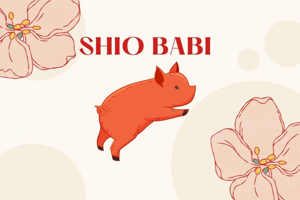 Canva.com/Andhina Effendi