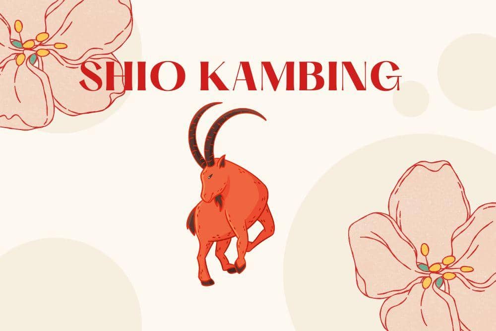 Canva.com/Andhina Effendi