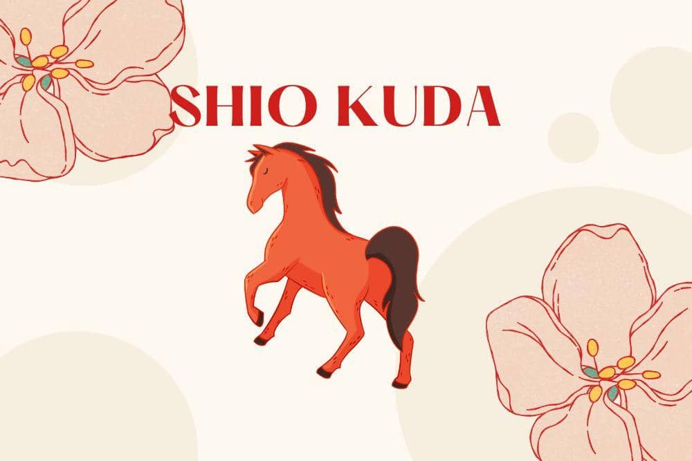 Canva.com/Andhina Effendi