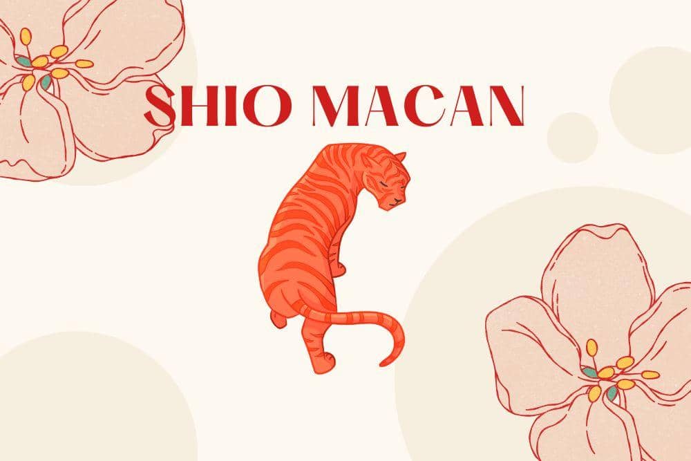 Canva.com/Andhina Effendi