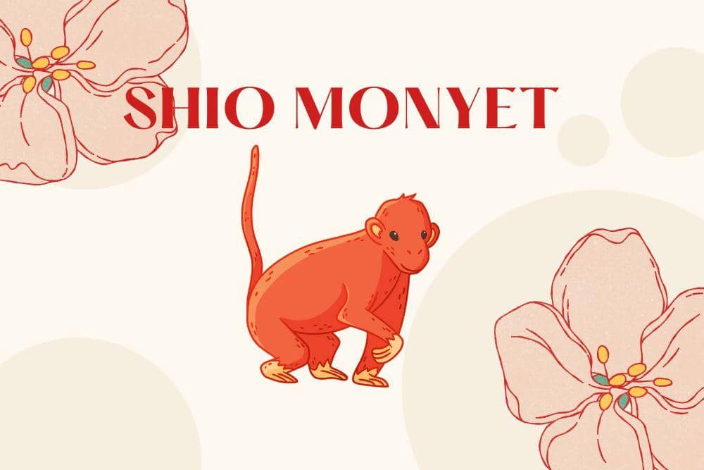 Canva.com/Andhina Effendi