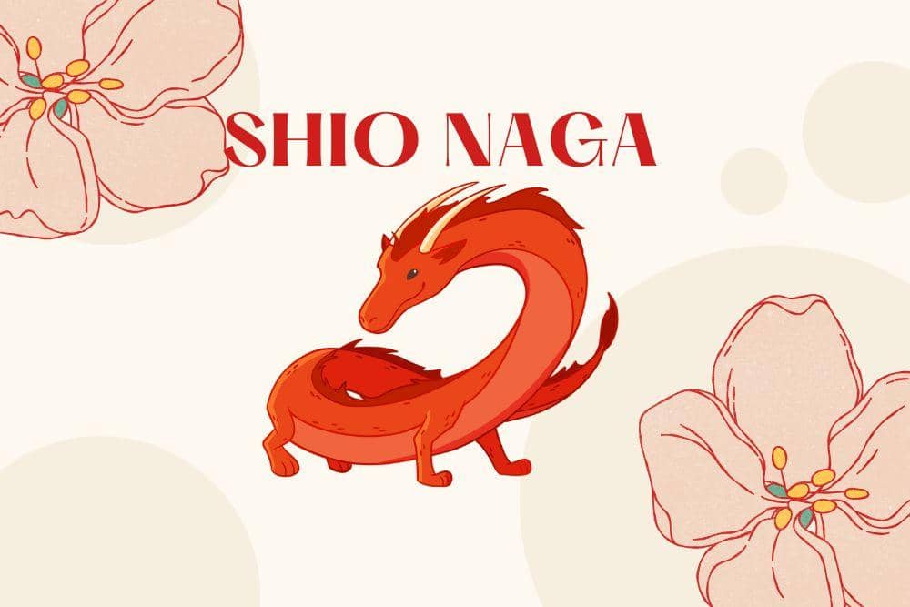 Canva.com/Andhina Effendi