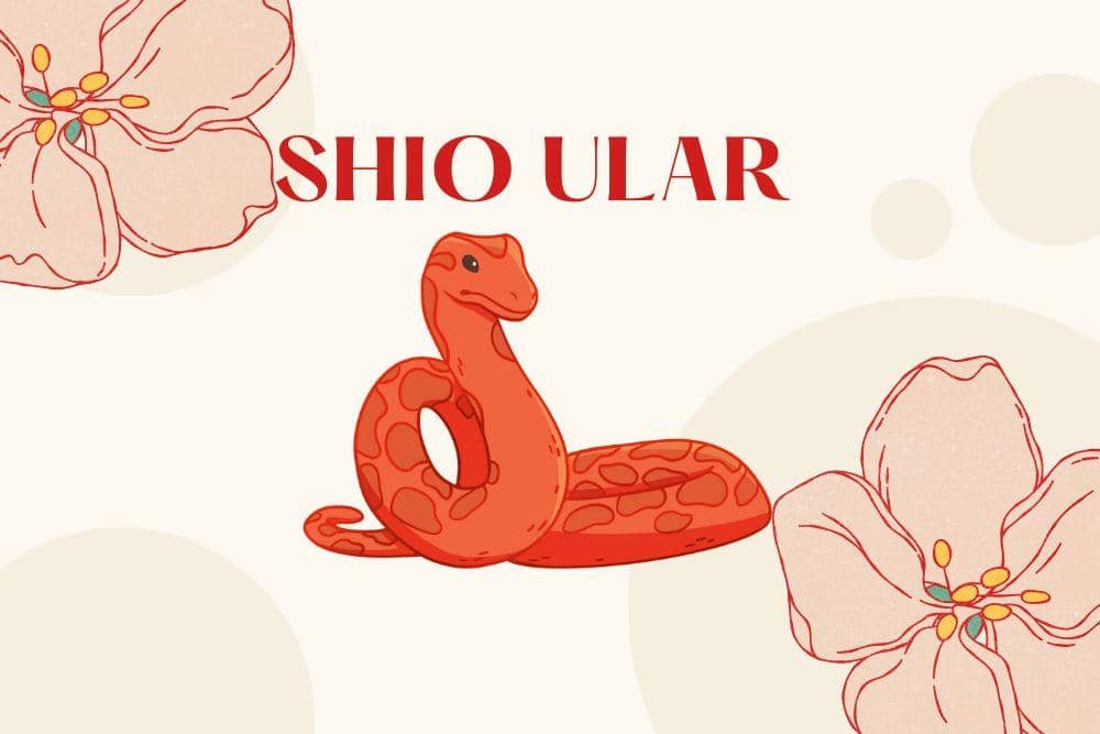 Canva.com/Andhina Effendi