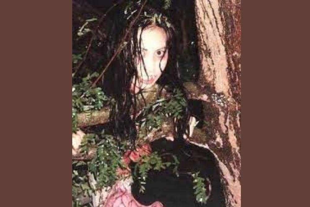 facebook.com/checkpoint