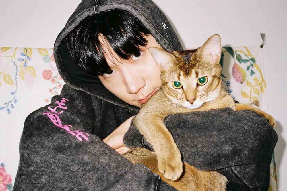 6 Alasan Laki-Laki Pecinta Kucing Adalah Sosok Pacar Idaman