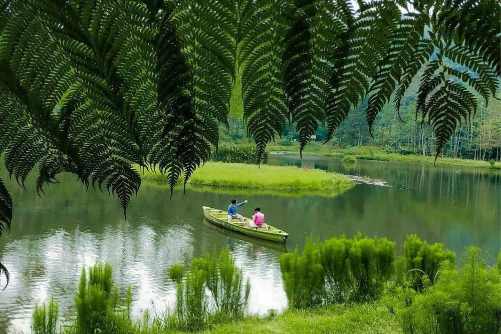 instagram.com/instapurwokerto