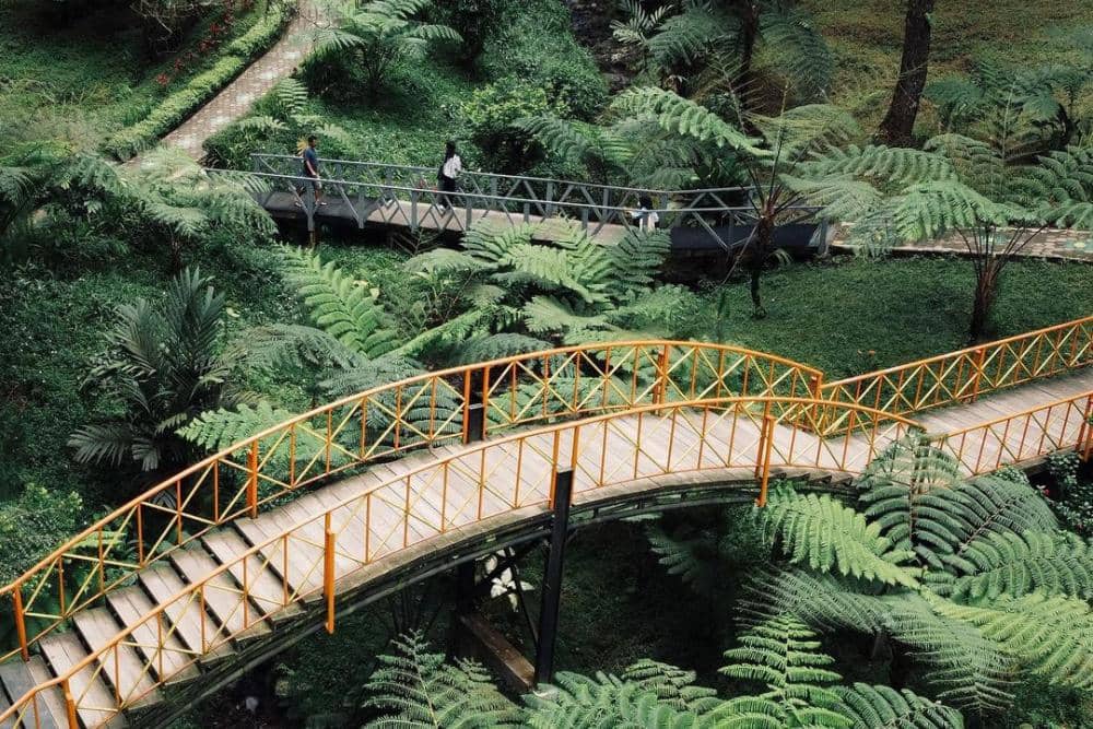 instagram.com/sesarjourney