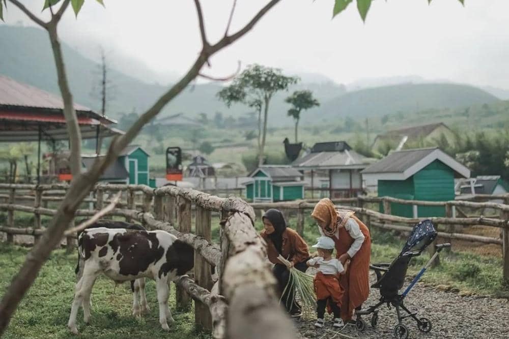 instagram.com/menggalaranch