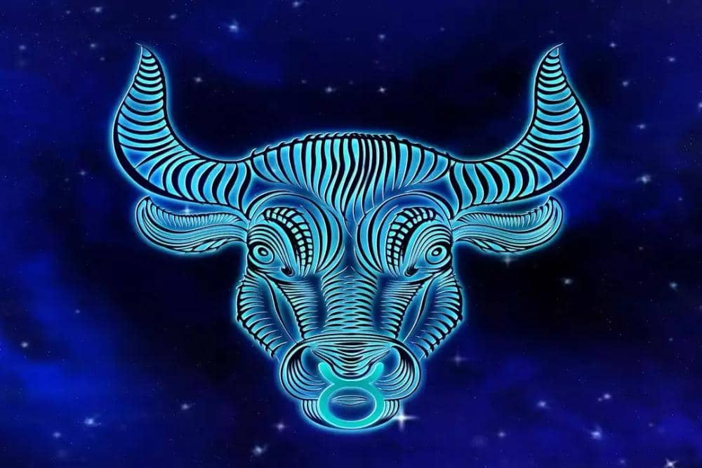 timesofindia.indiatimes.com