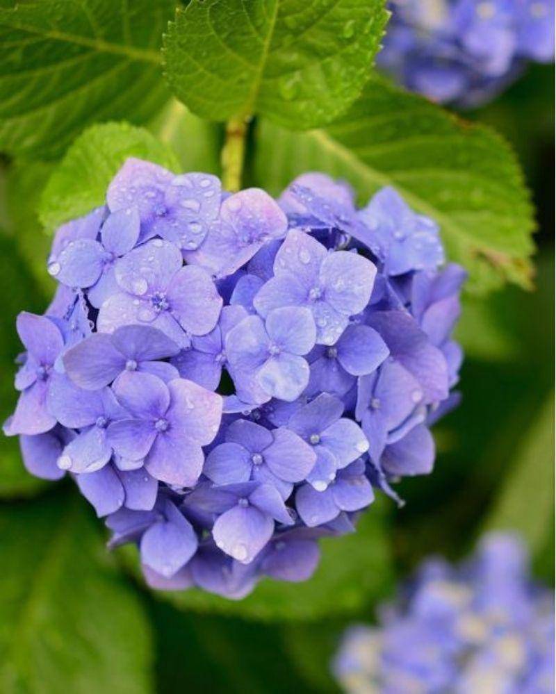 pinterest.com