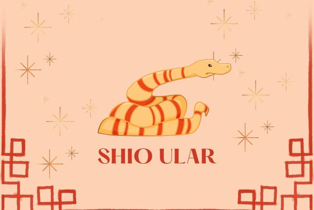 Canva.com/Andhina Effendi