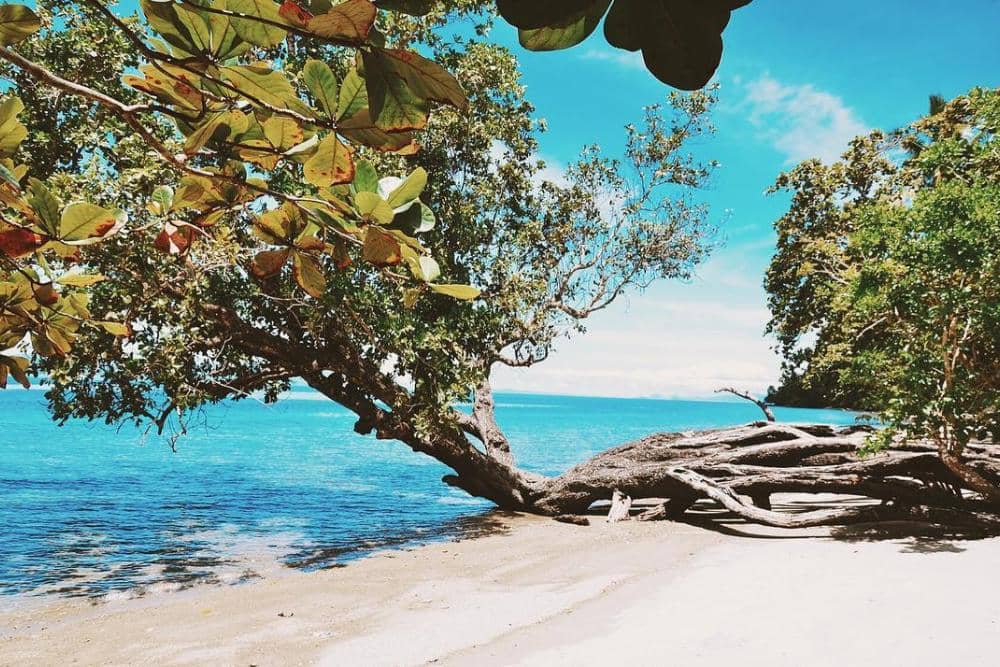 instagram.com/amritsaraje