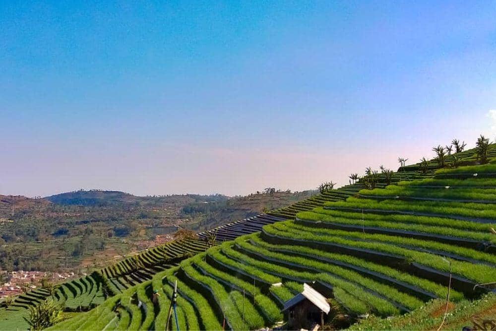 instagram.com/bukitmercurysayangkaak