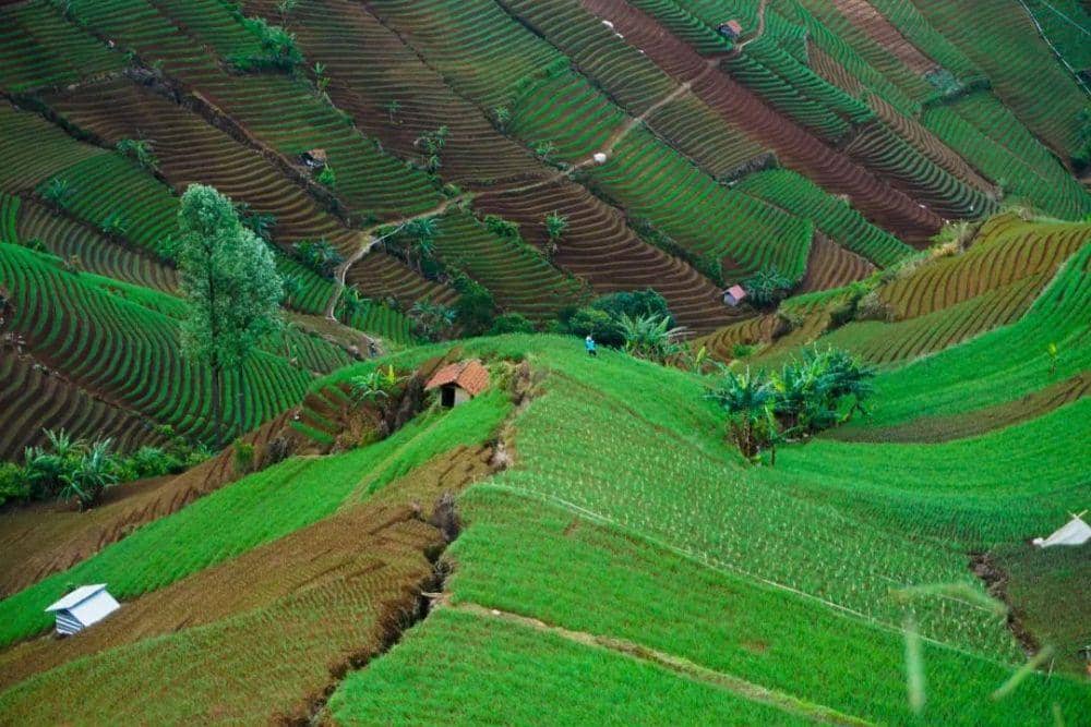 instagram.com/terasering_panyaweuyan