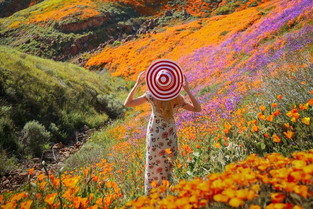 pexels.com/Angelica Reyn