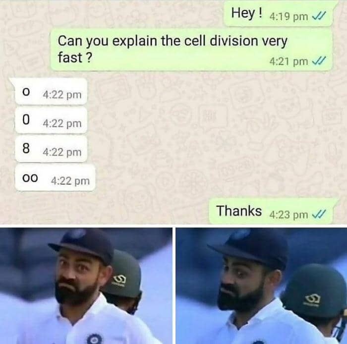 instagram.com/memes.of.science_