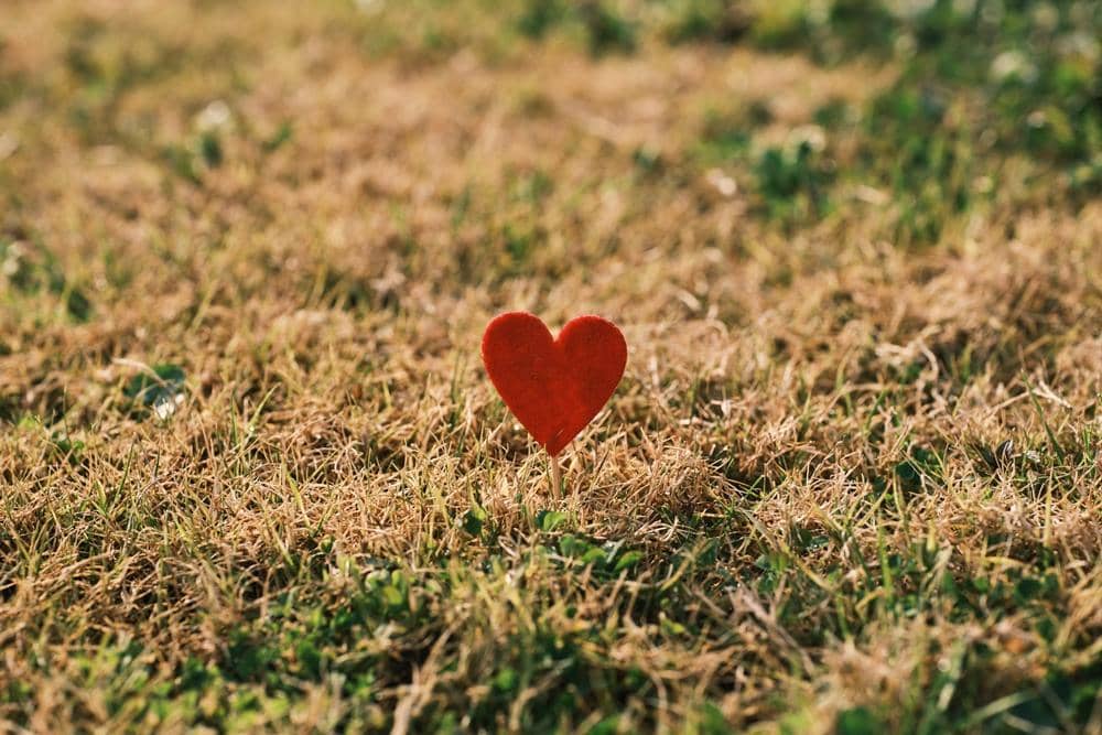 pexels.com/Engin Akyurt