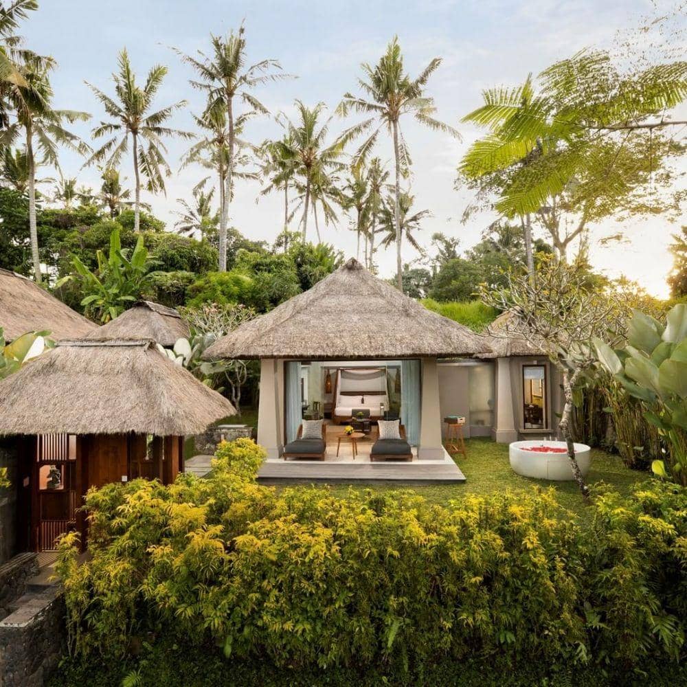 Instagram.com/mayaubud