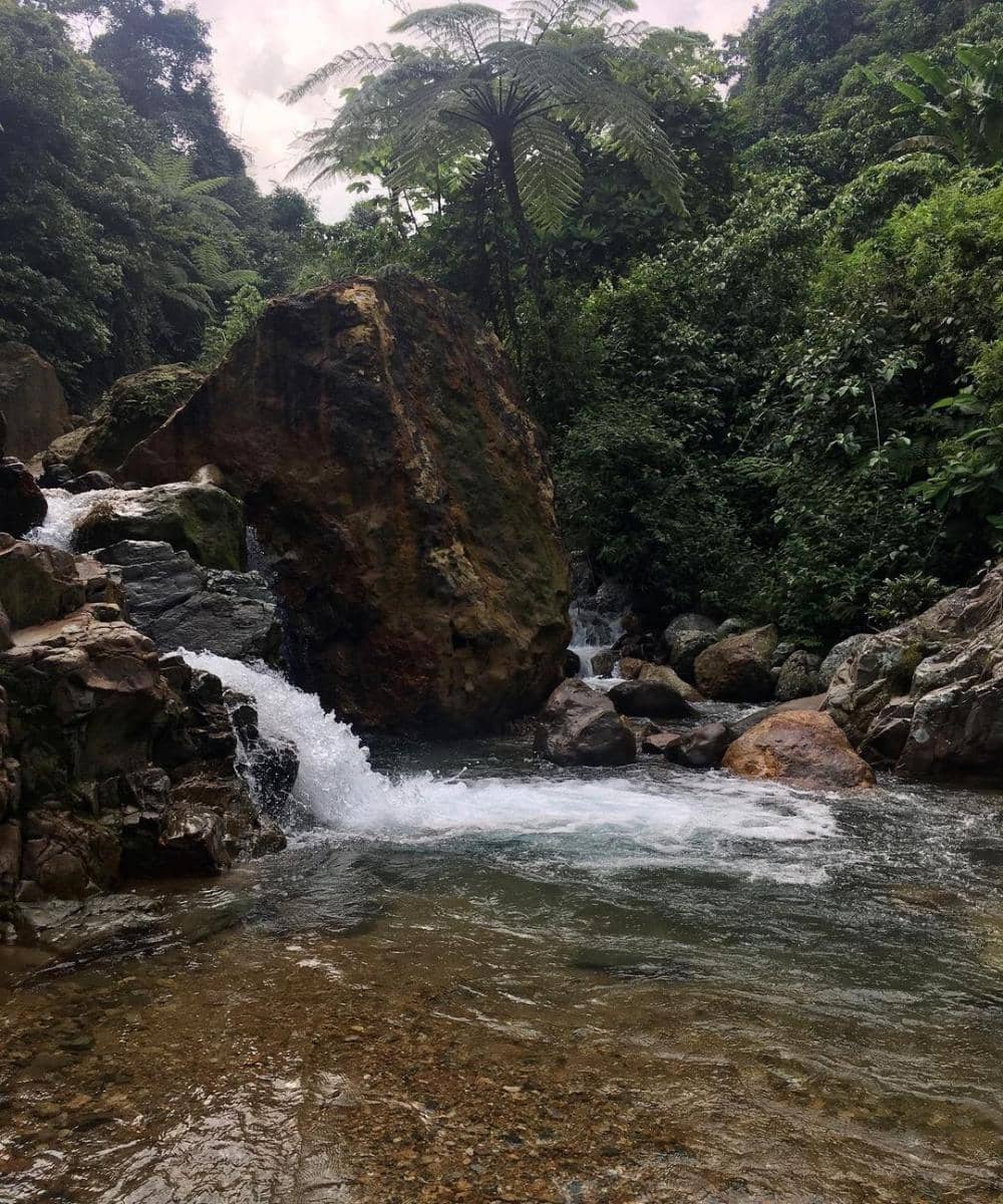 instagram.com/fayedandi